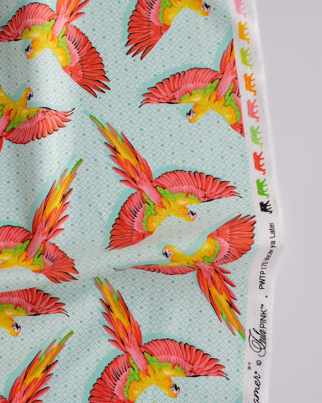 Daydreamer - Macaw Ya Later ($20/m)