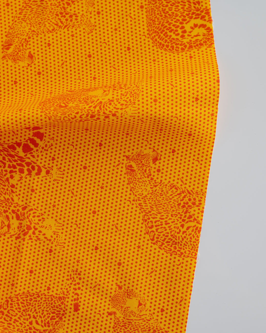 Daydreamer - Lil Jaguars ($20/m)