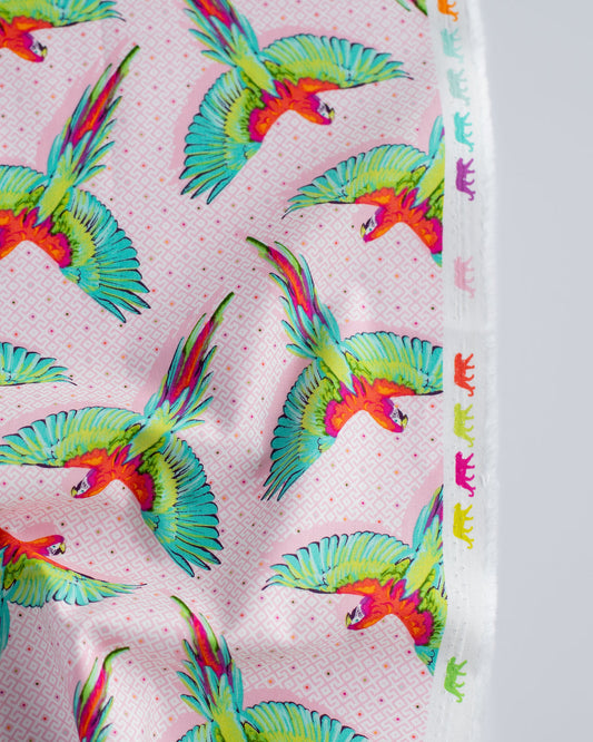 Daydreamer - Macaw Ya Later ($20/m)