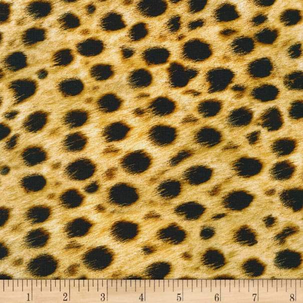 Animal Kingdom - Cheetah ($20/m)