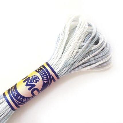 DMC - Colour Variations Floss - Trapunto