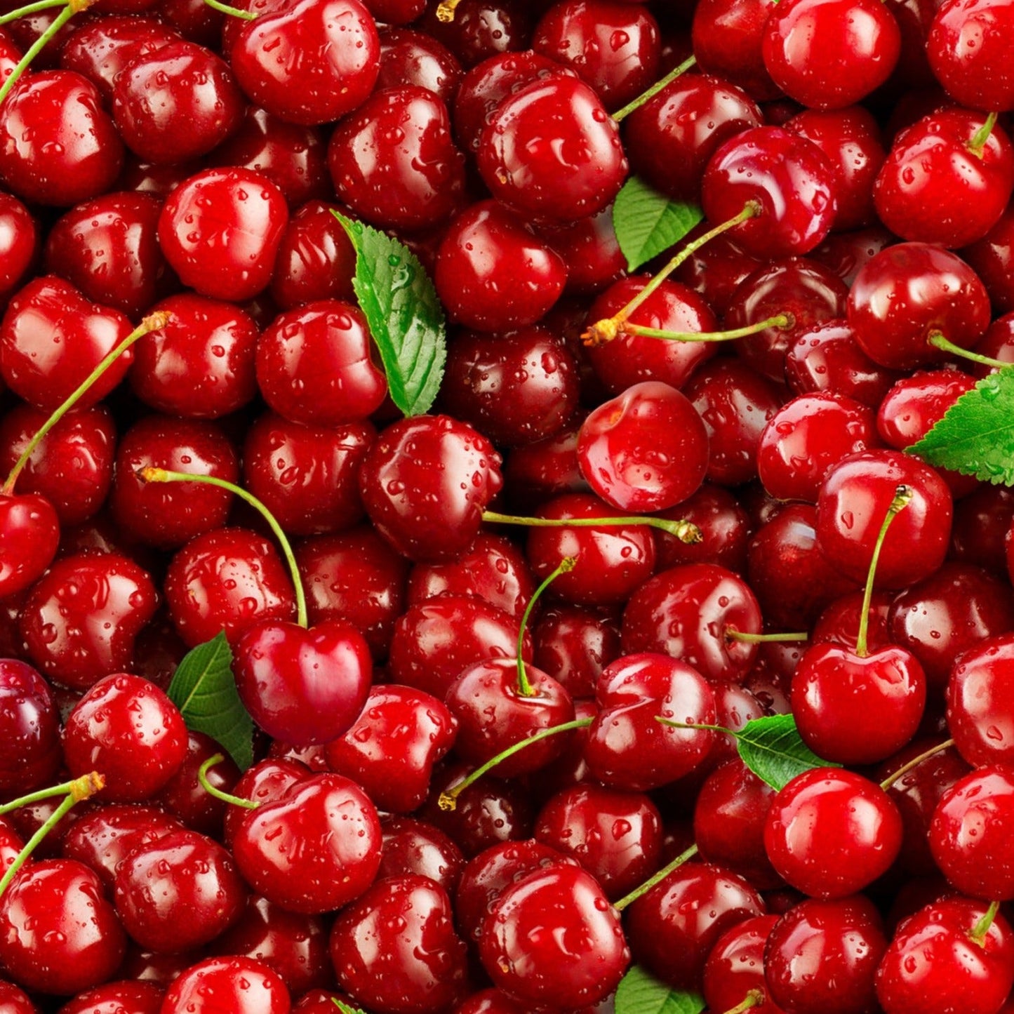 Food Festival - Cherries ($20/m)