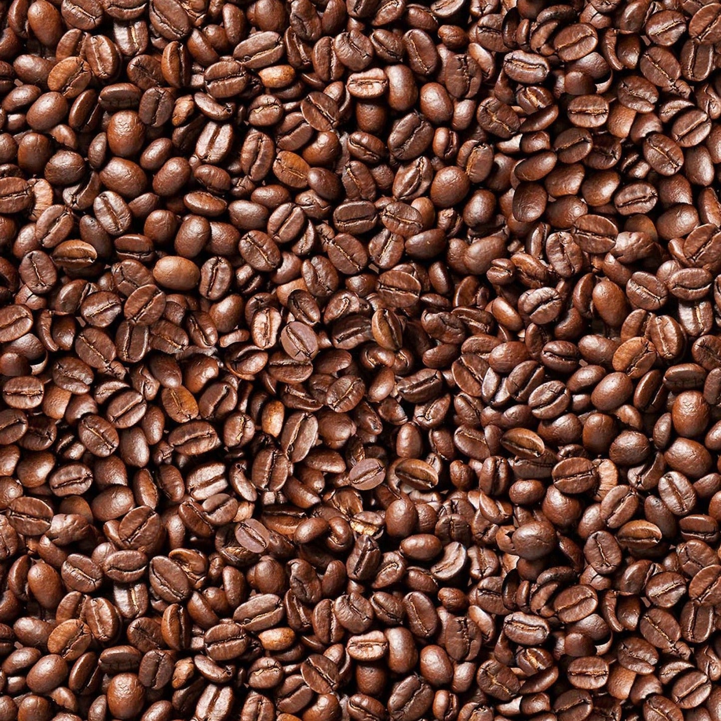 Food Festival - Coffee Beans ($20/m)