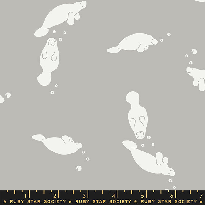 Florida - Manatees ($20/m)