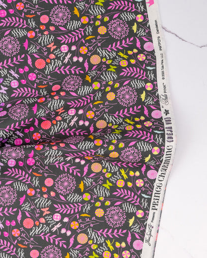 PRE-ORDER | Prince Charming | Dandelion ($22/m)