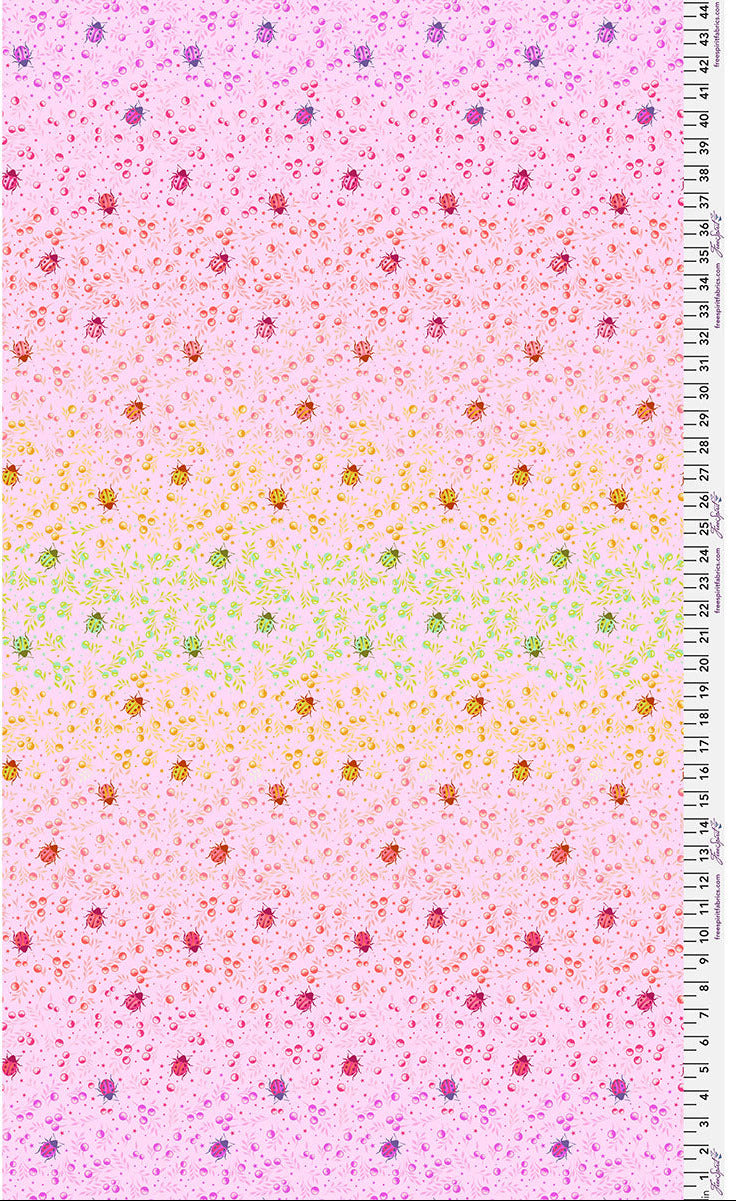 Down to Earth by Tula Pink [Pre-Order] - Spot On ($20/m)