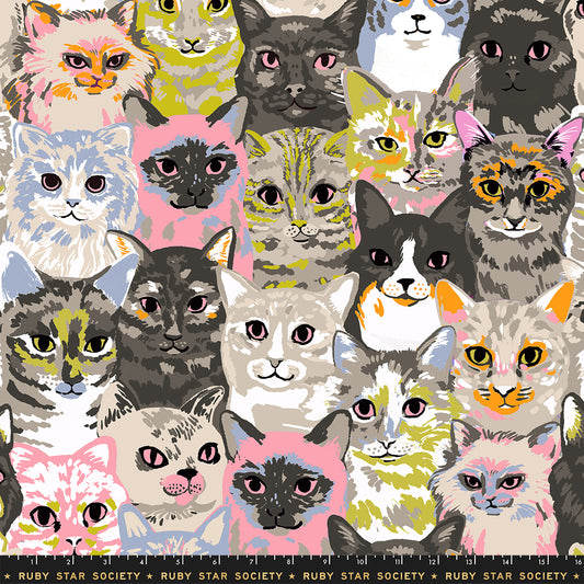 Oops All Cats - Hundreds of Cats [Pre-Order] ($22/m)