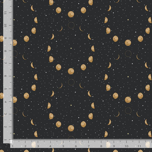 Moth to a Flame [Pre-Order] - Lunar Echos ($22/m)