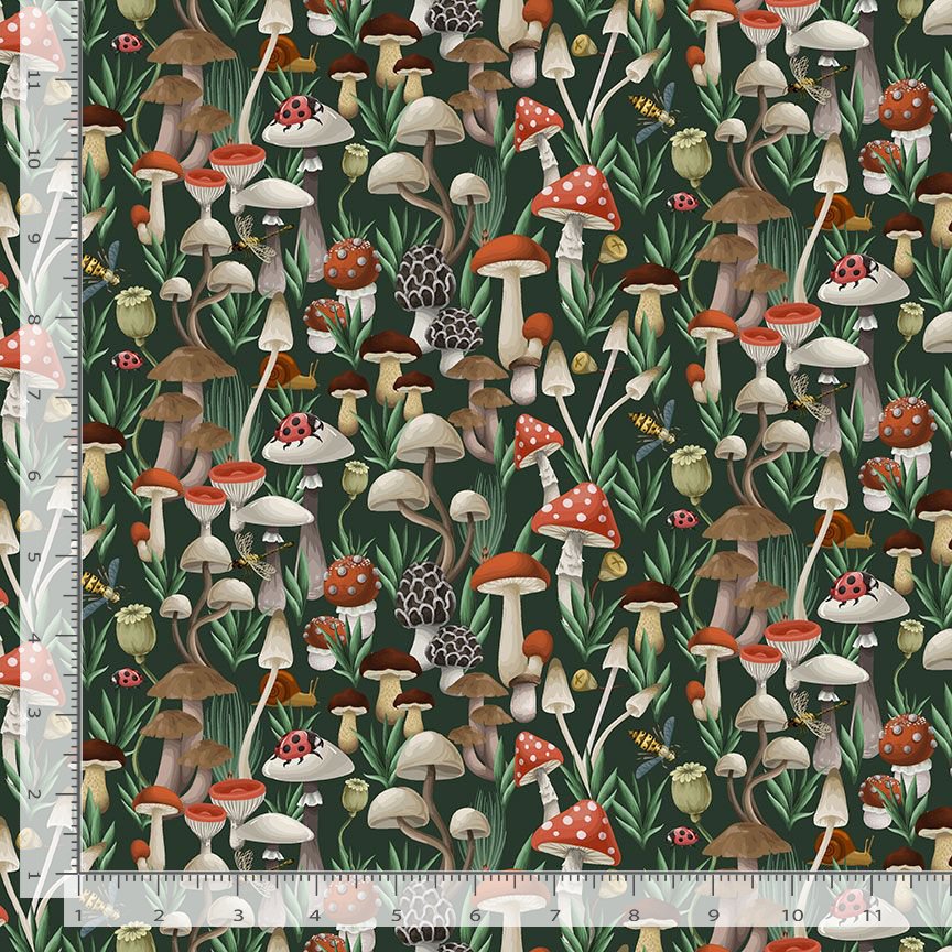 Moth to a Flame [Pre-Order] - The Fungi Kingdom ($22/m)