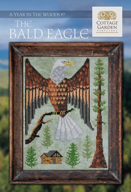 A Year in the Woods \ #07 The Bald Eagle