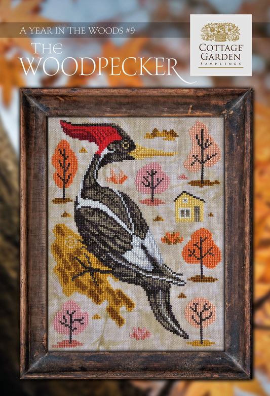 A Year in the Woods \ #09 The Woodpecker