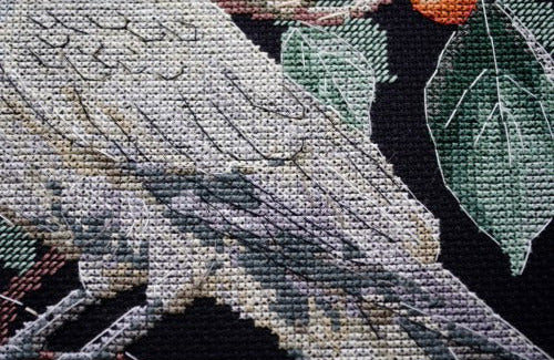 Another Beauty Cross Stitch Kit