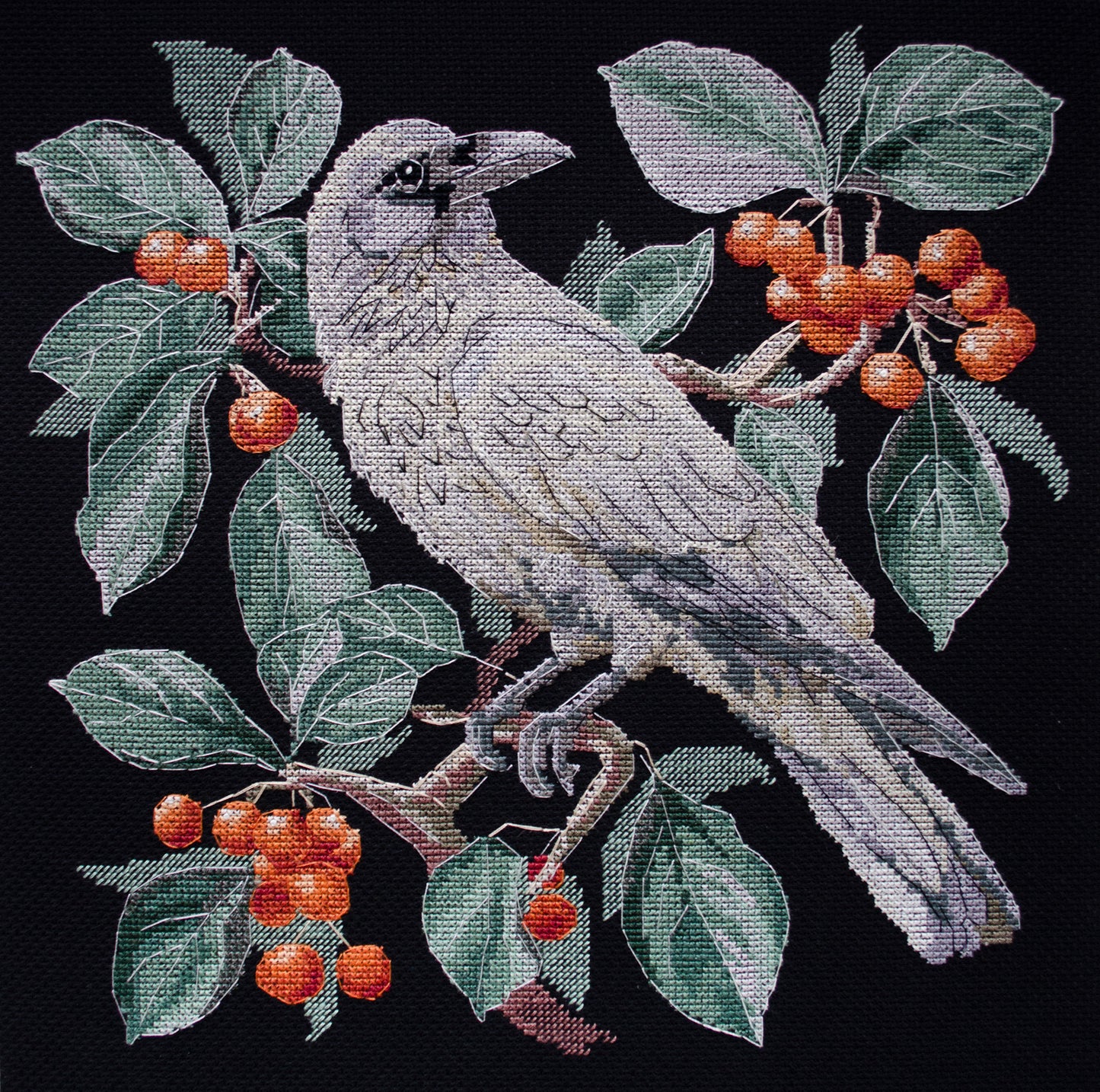 Another Beauty Cross Stitch Kit