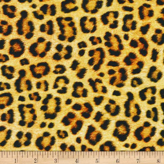 Animal Kingdom - Leopard ($20/m)